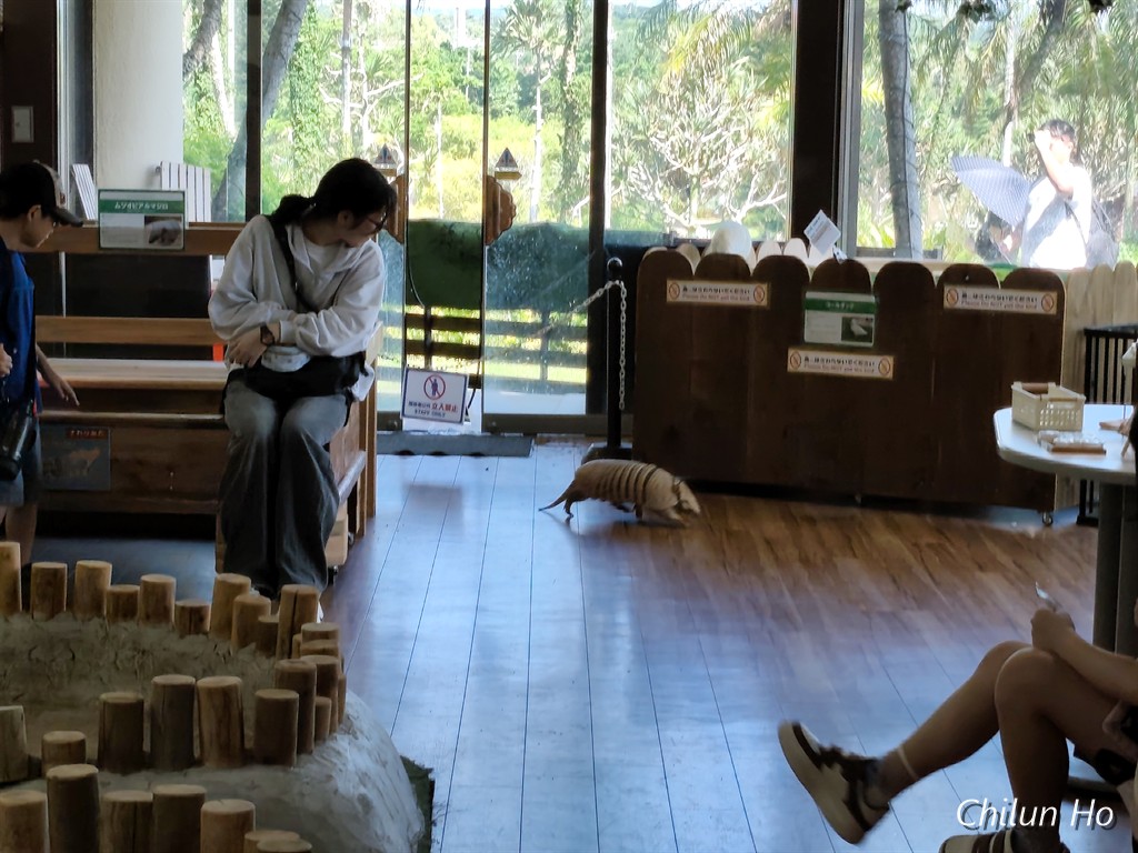 東南植物楽園＆おきなわスロー風楽風遊の森